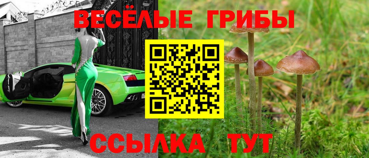 Псилоцибиновые грибы Psilocybine cubensis Новочеркасск